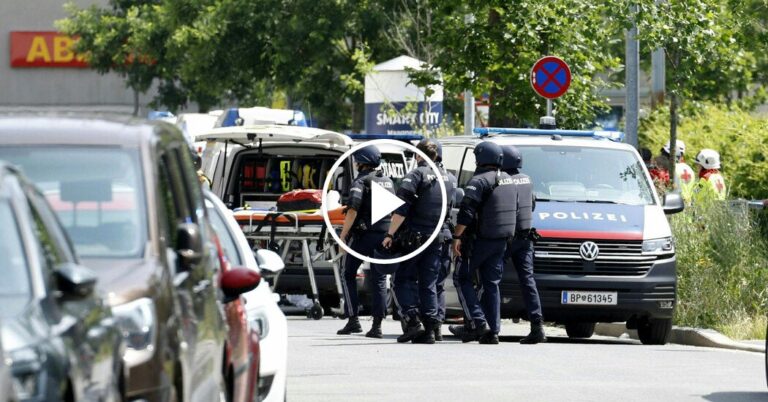 Official Confirms Multiple Fatalities in Austria School Shooting