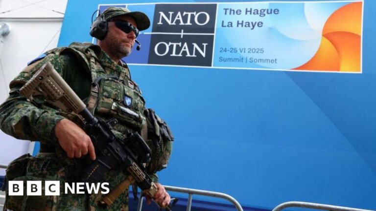 Germany pledges to contribute equitably to Europe’s defense as Nato leaders convene at Hague summit