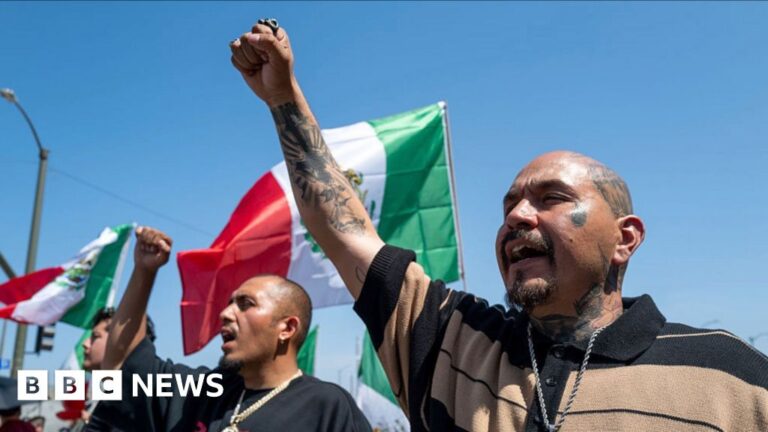 LA protesters demonstrate the importance of their cause on the streets