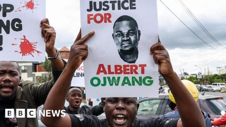 Kenyan police officers face charges for assaulting blogger