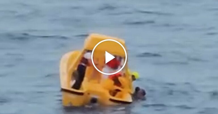 Two passengers on a Disney cruise were saved after falling overboard.