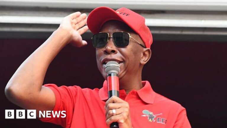 Home Office bans South African politician from entering UK
