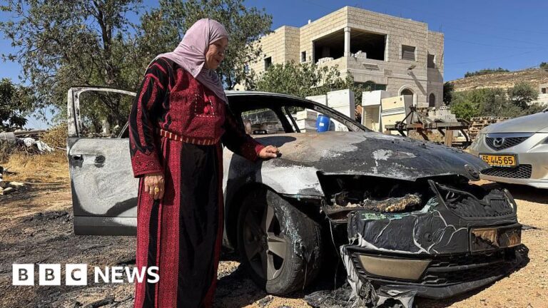 Israeli settler attack leaves three Palestinians dead