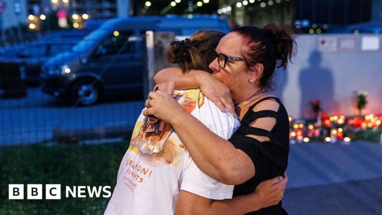 The facts we have on the Graz mass shooting