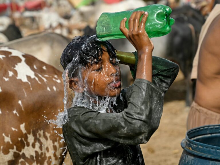 EU Scientists Report that May was the Second-Warmest Month on Record