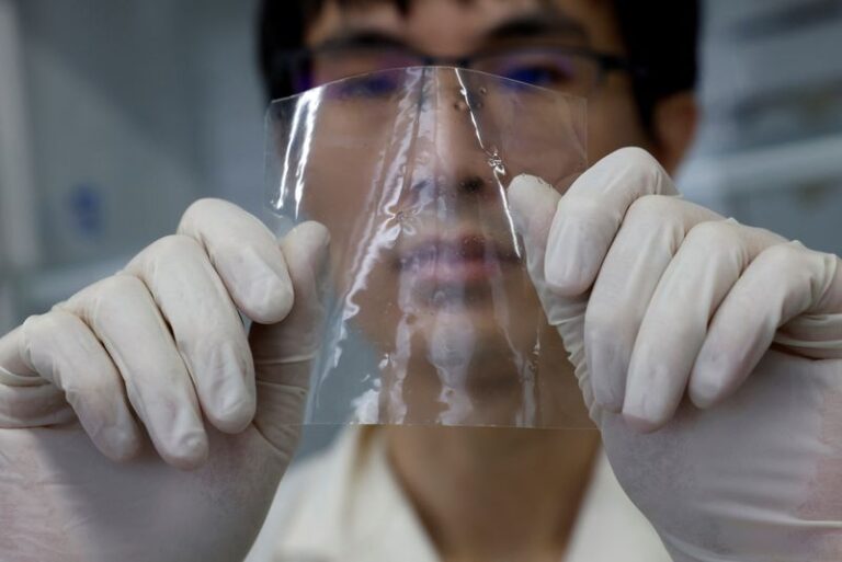 Japanese Scientists Create Biodegradable Plastic that Breaks Down in Seawater in Just Hours
