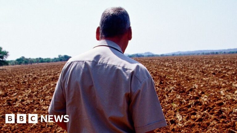Zimbabwe’s Agricultural Legacy: A Look back 25 Years Later – Was it Worth it?