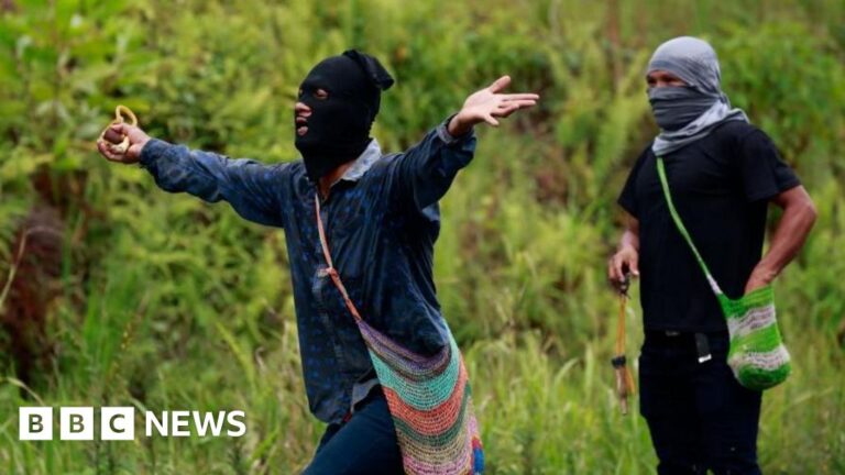 Banana region unrest prompts Panama to declare emergency