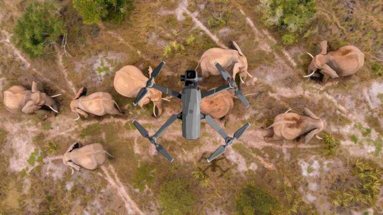Utilizing Technology to Protect Biodiversity