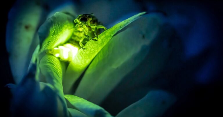 Virus Detection Revolutionized with Bioluminescence Breakthrough