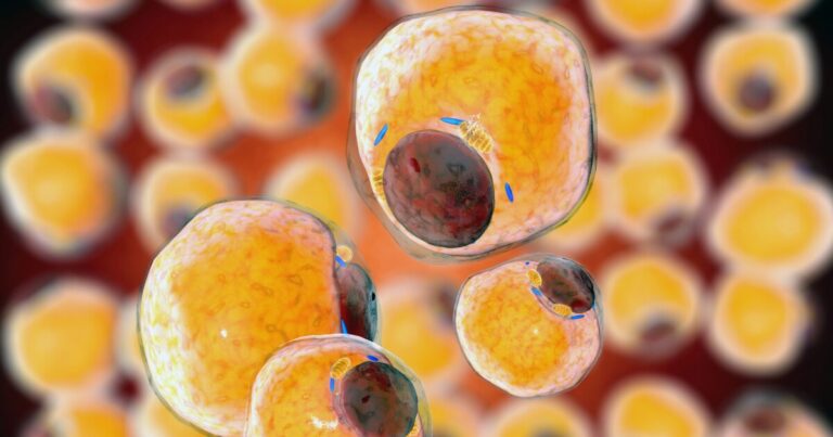 Discovery of Protein may Aid in Treating Weight Loss Related to Cancer