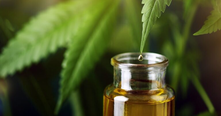 Compounds in Cannabis Exhibit Potential as Topical Antifungal Agents