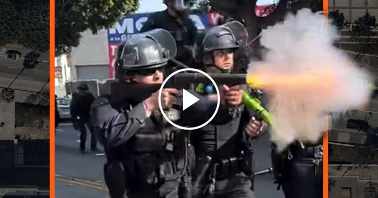 Los Angeles Police Officers Violated Protocols and Harmed Protesters