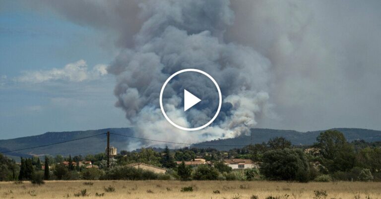 Spain and France Ravaged by Wildfires Following Recent Heat Wave