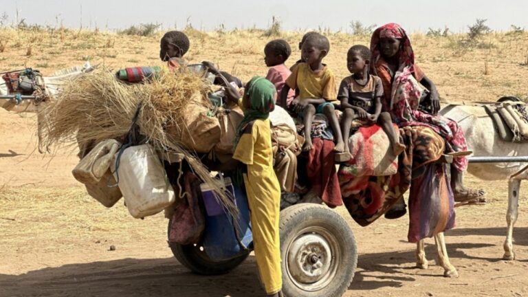 ICC Deputy Prosecutor Reveals Crimes Against Humanity in Sudan’s Darfur