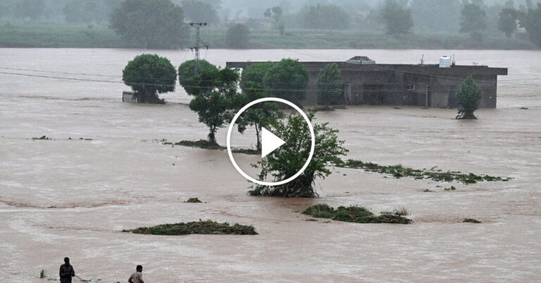 Severe Monsoon Downpours Claim Lives of Multiple People in Pakistan