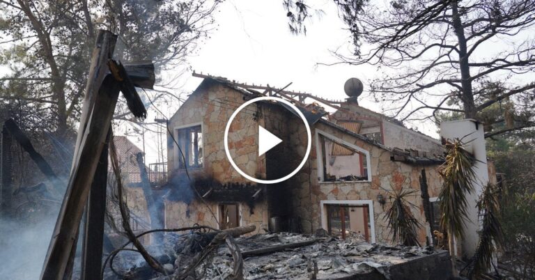 Extreme Heat in Cyprus Fuels Wildfires