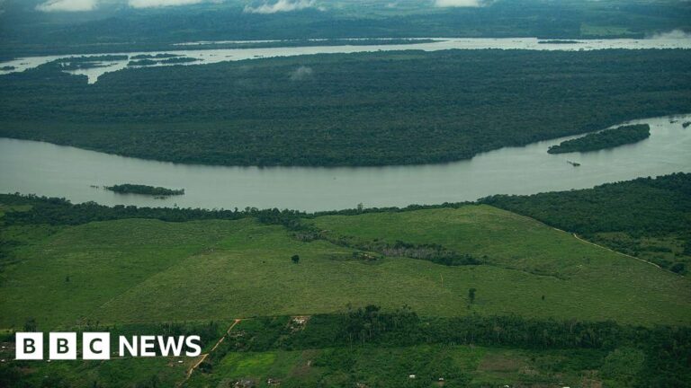 Brazil’s new development law poses a risk of increased deforestation in the Amazon