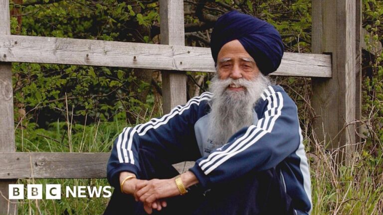 Driver in custody for hit-and-run incident resulting in the death of the world’s ‘oldest’ marathon runner