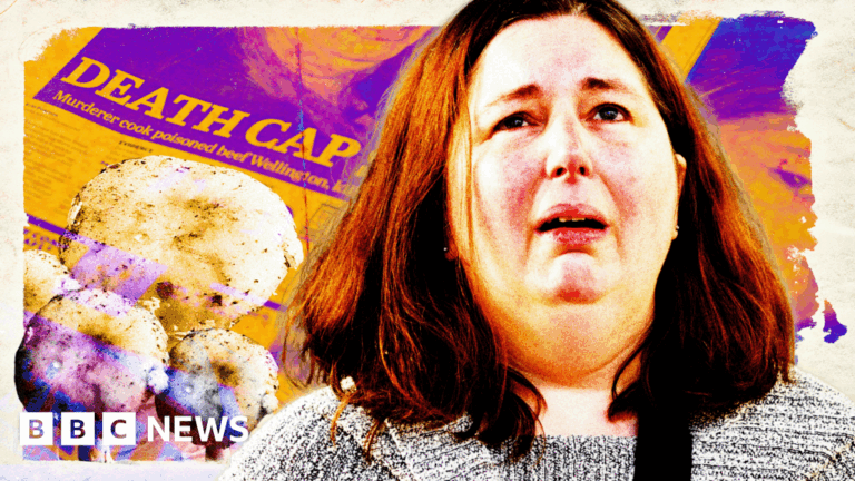 The Transformation of Erin Patterson: From ‘Super Sleuth’ to True Crime Obsession