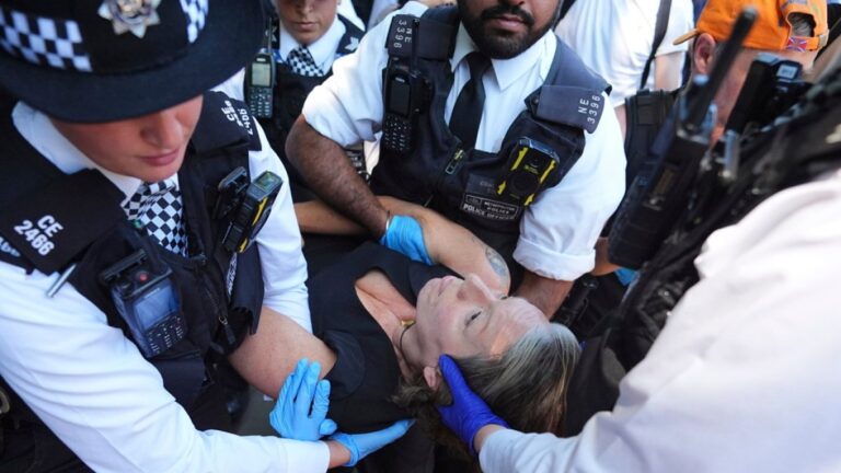 Dozens detained by UK police at London protest against ban on Palestine Action | Israel-Palestine conflict News
