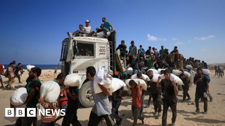 Israeli forces fatally shoot 67 Palestinians seeking aid in northern Gaza, according to Hamas-run ministry