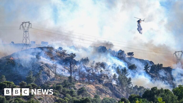 Marseille under threat from wildfire as one thousand firefighters protect the city