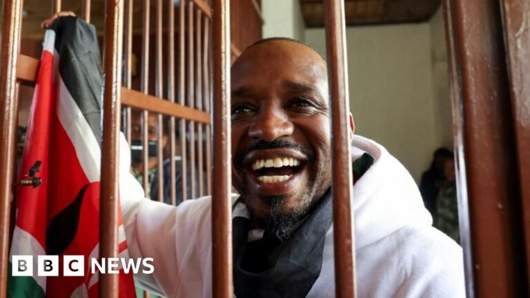 Kenya reverses decision to charge prominent activist with terror offences