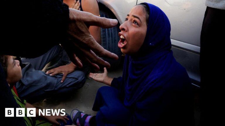 More than 20 people killed in stampede at GHF aid site supported by the US