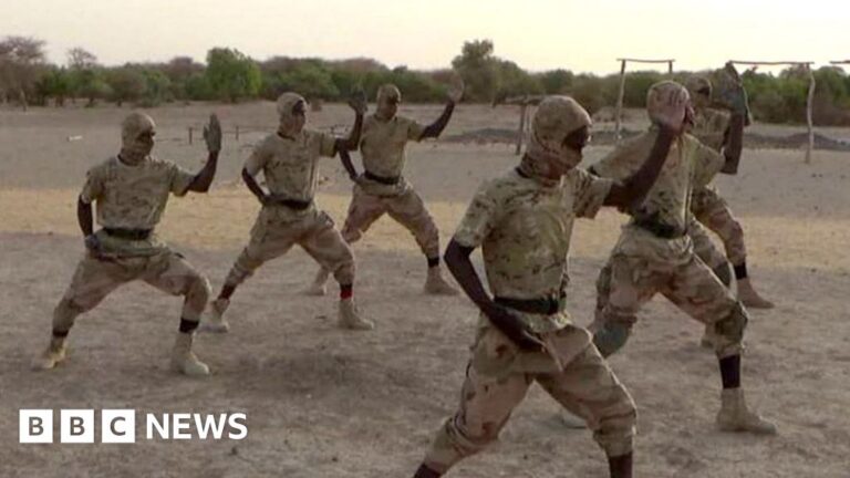 The transformation of an al-Qaeda offshoot into one of Africa’s most lethal militant organizations