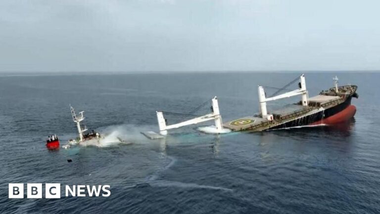 Houthis from Yemen sink another Red Sea cargo ship within a week