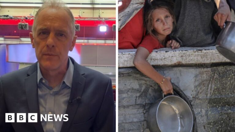 What led Gaza to the brink of starvation?
