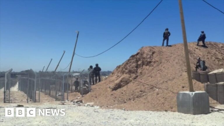 BBC Interview with Gaza Aid Contractor Reveals Witnessing Colleagues Firing on Starving Palestinians