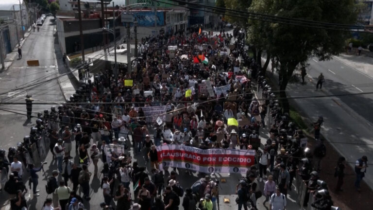 Video: Demonstrations against Real Estate Speculation during World Cup in Mexico City