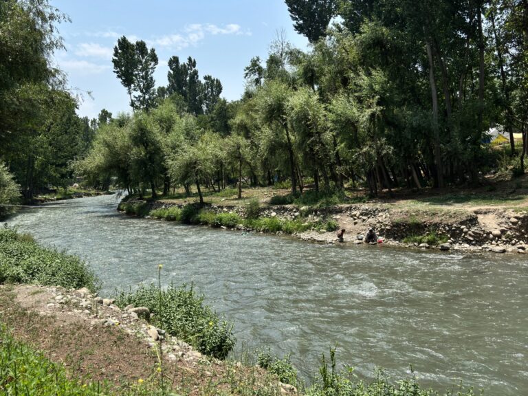 Residents of Kashmir waters thrilled and wary as otters are spotted | Wildlife News