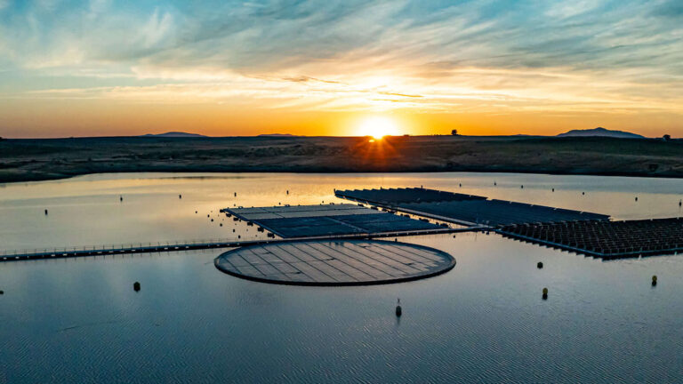 This ‘Water Lily’ Will Introduce Floating Solar Panels to the Sea