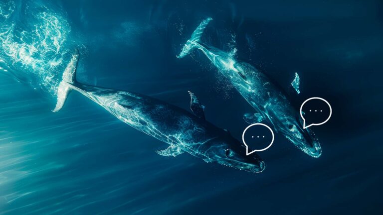 AI Uncovers Intricate Language Patterns in Sperm Whales