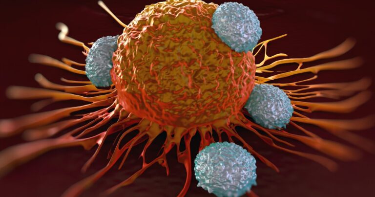 Hydrogel enhances the effectiveness of T cells in cancer immunotherapy