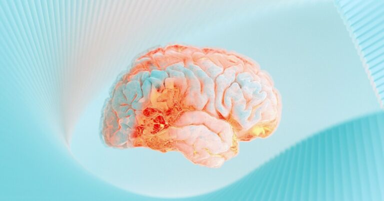 Scientists Discover Brain Circuit that Connects Pain and Emotions