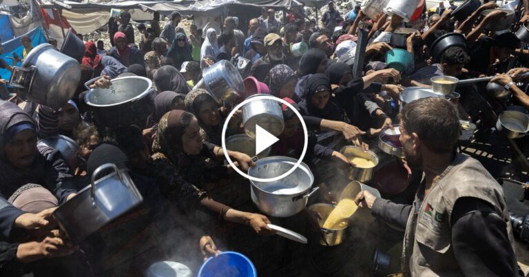 The Hunger Crisis in Gaza: No Fight, No Food.