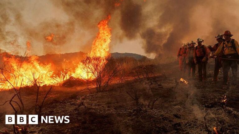 California’s Canyon Fire Forces Thousands to Evacuate
