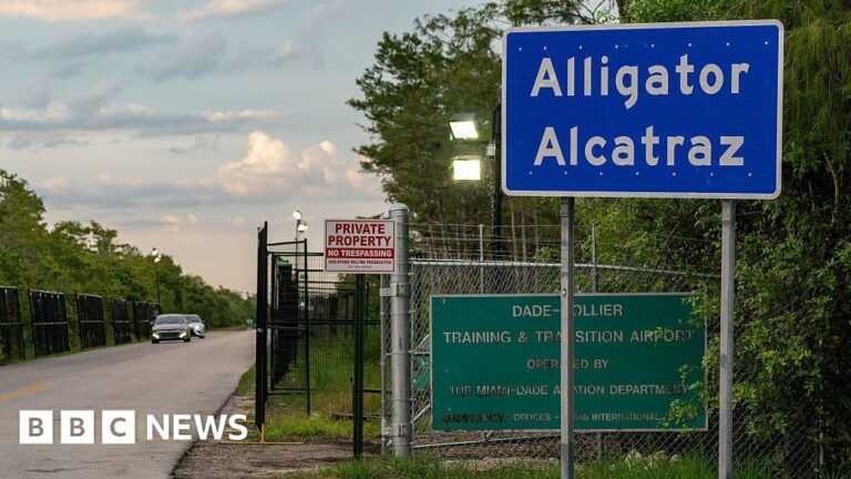 The Final Days of Life Inside the Infamous ‘Alligator Alcatraz’