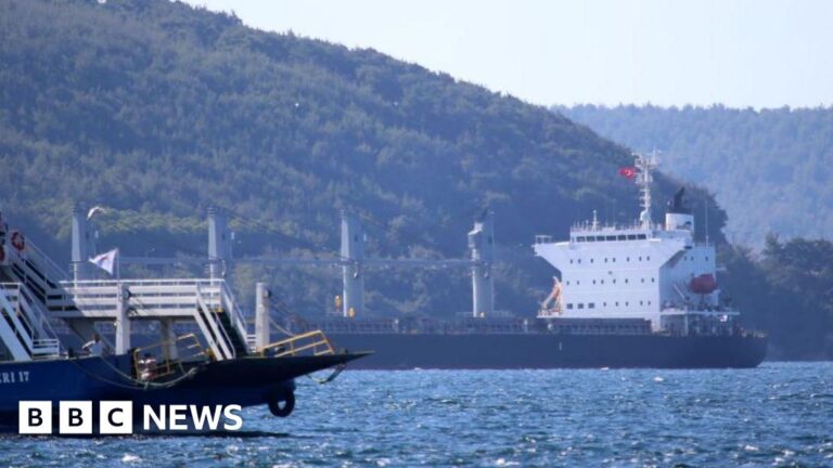 Turkey shuts Dardanelles Strait to shipping due to wildfires