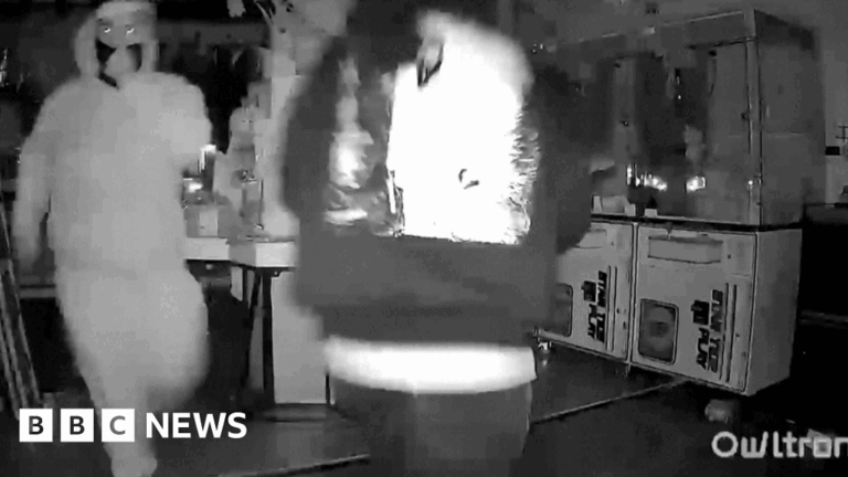 Thieves wearing masks steal $7,000 worth of Labubu dolls in California