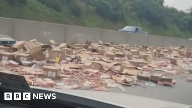 US highway brought to standstill due to hot dog spill