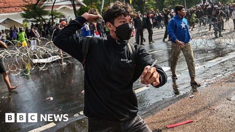 Three killed during protests following taxi driver’s death in Indonesia