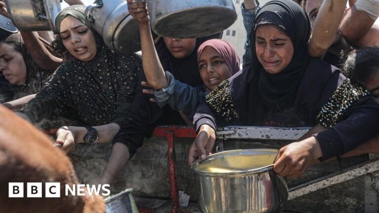 Humanitarian organizations urge Israel to stop using aid as a weapon in Gaza