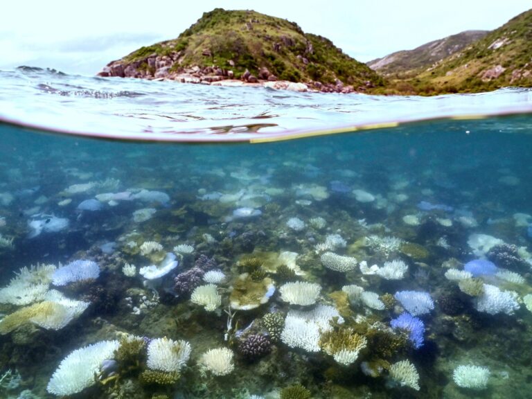 Record bleaching of Australia’s Great Barrier Reef due to warming oceans | Climate Crisis Update