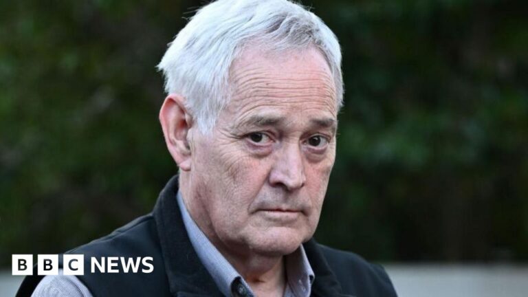 Survivor of mushroom murder recounts lunch’s impact in court