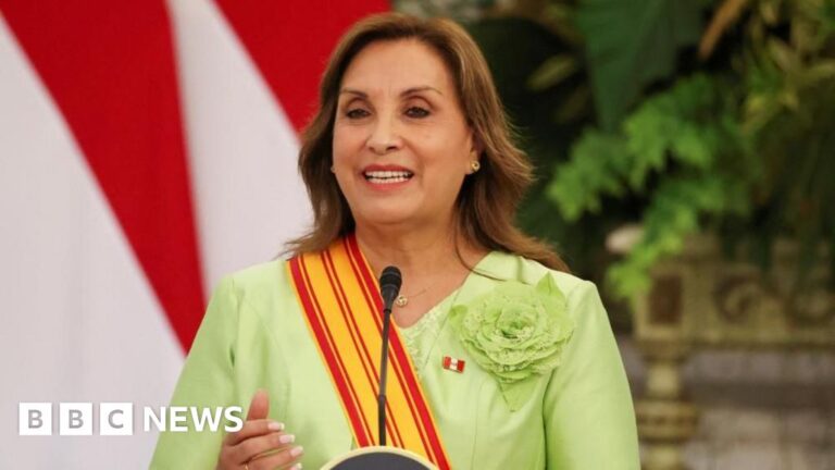 Peru’s President Approves Amnesty Law for Police and Soldiers Accused of Atrocities
